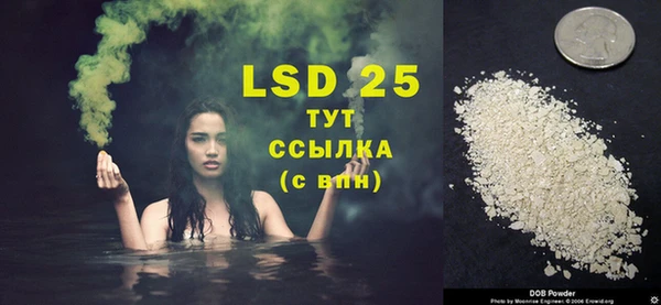 мяу мяу мука Кулебаки