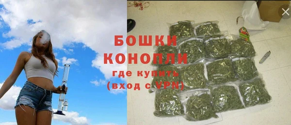 соль ск Кукмор