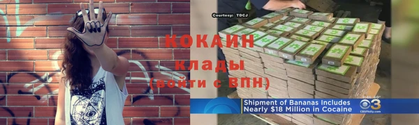 соль ск Кукмор