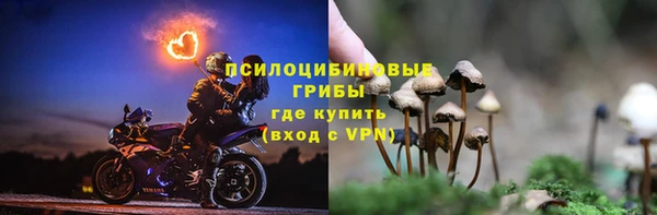 экстази Корсаков