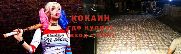 соль ск Краснослободск