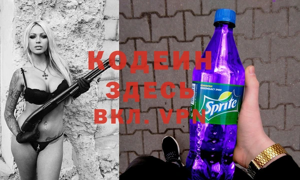соль ск Кукмор