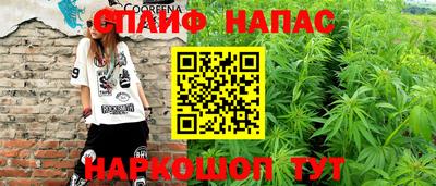 Альфа ПВП Гусев