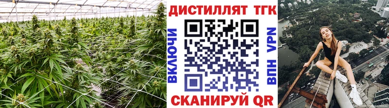 где найти   Малгобек  ОМГ ОМГ вход  Дистиллят ТГК THC oil 