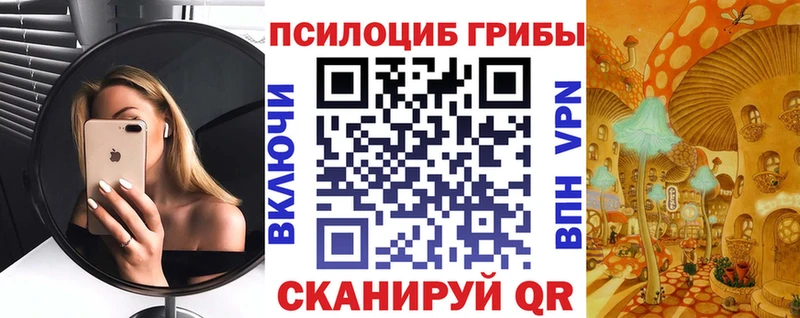 Галлюциногенные грибы мицелий  магазин продажи   Малгобек 