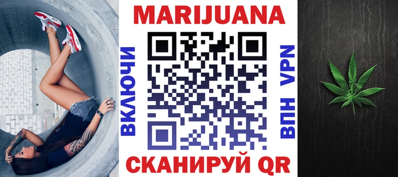 Конопля гибрид  Малгобек 